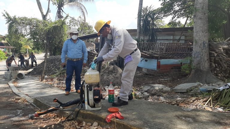 Fumigación Miquetla