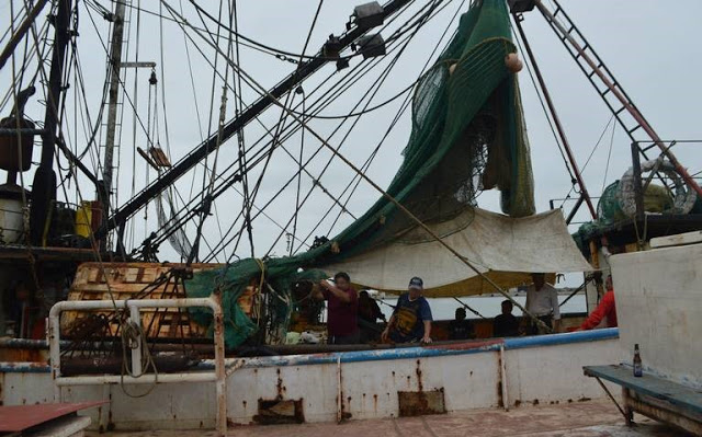 tuxpan 20