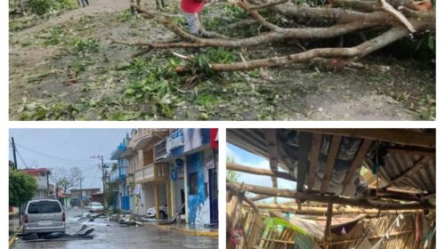 20210823_192155-COLLAGE