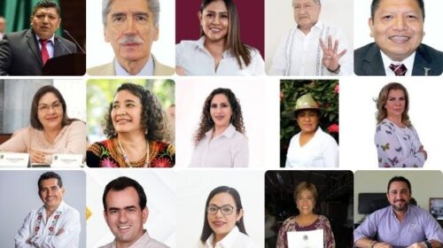 DIPUTADOS FEDERALES