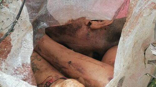 WhatsApp Image 2021-08-10 at 6.28.24 PM