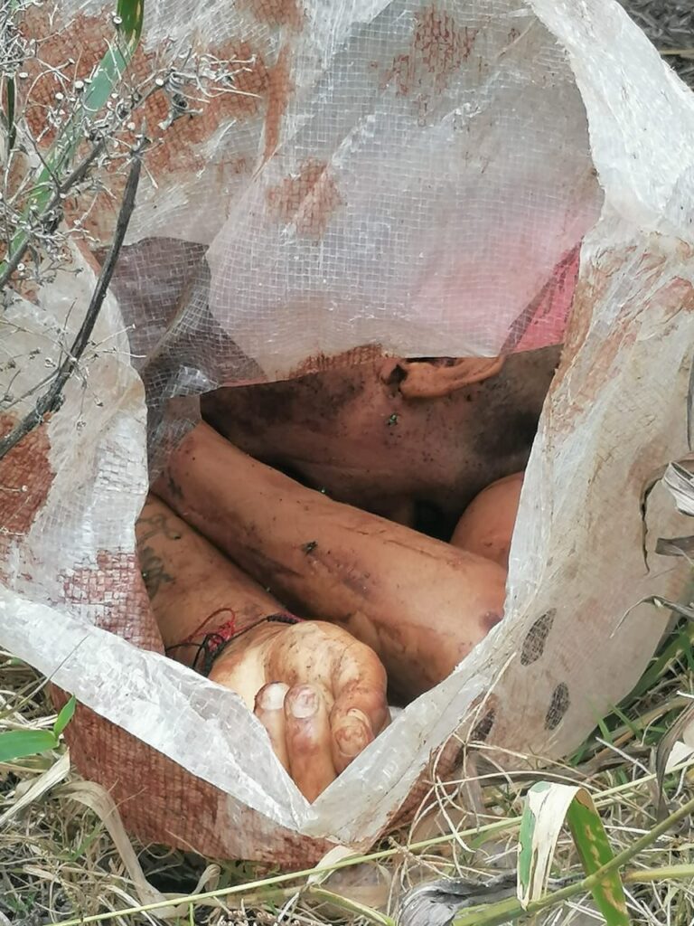 WhatsApp Image 2021-08-10 at 6.28.24 PM