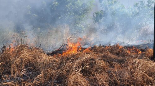 WhatsApp Image 2021-08-11 at 7.09.03 PM