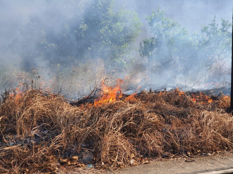 WhatsApp Image 2021-08-11 at 7.09.03 PM