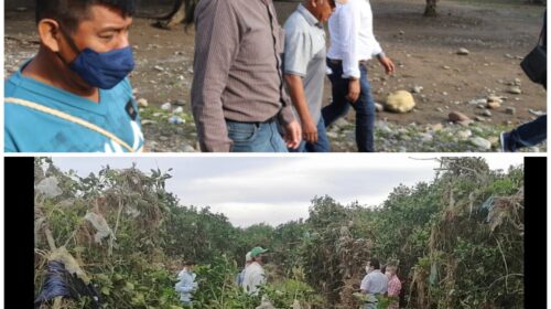 WhatsApp Image 2021-09-08 at 2.21.24 PM