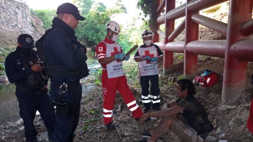 WhatsApp Image 2022-01-31 at 6.32.53 PM