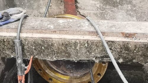 WhatsApp Image 2022-02-15 at 12.55.55 PM