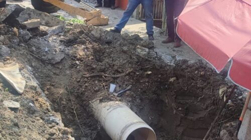 WhatsApp Image 2022-04-06 at 8.10.15 PM