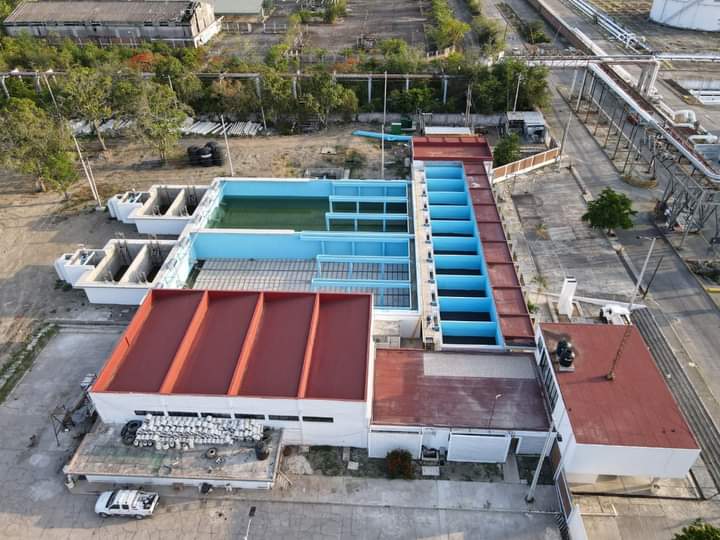 FB_IMG_1653720243266