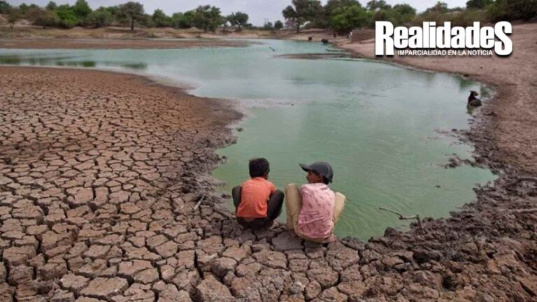 Veracruz cerró 2023 con 77 municipios en sequía