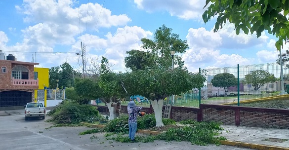 adbafdde-2d26-40b8-b074-5a76141d9cf0