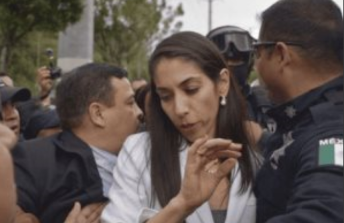 Captura-de-pantalla-2024-11-29-123116-700x454