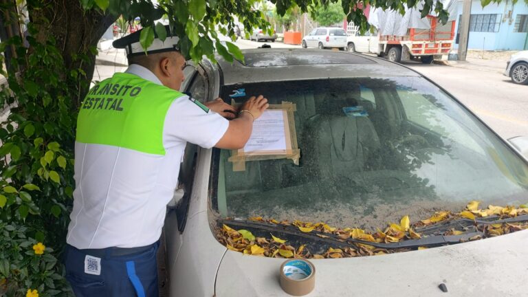 Imagen de WhatsApp 2025-07-21 a las 19.04.13_f91df216