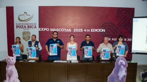 Imagen de WhatsApp 2025-08-19 a las 19.35.44_edb6bb5a