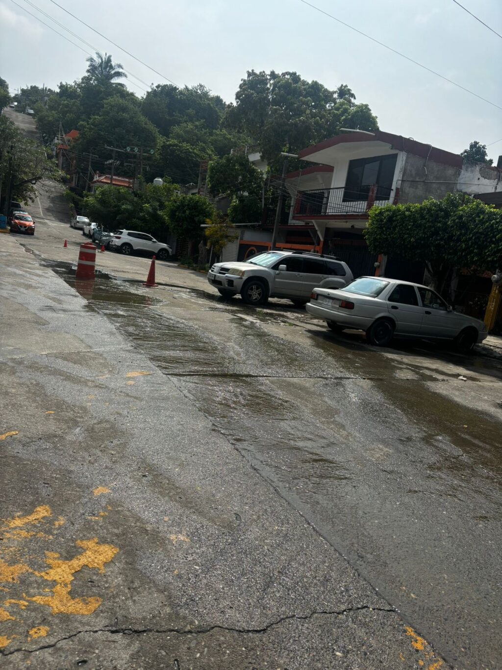 109cdd83-8972-4268-bbb8-546a3c15d381