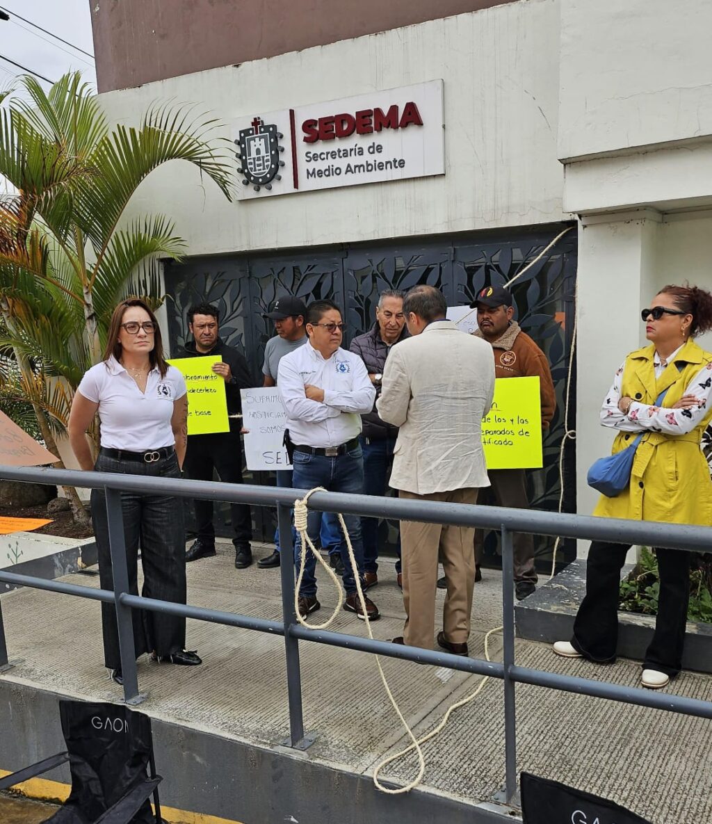 Imagen de WhatsApp 2025-09-11 a las 14.04.36_9a399540