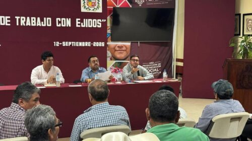 Imagen de WhatsApp 2025-09-16 a las 21.23.31_560ac7d7