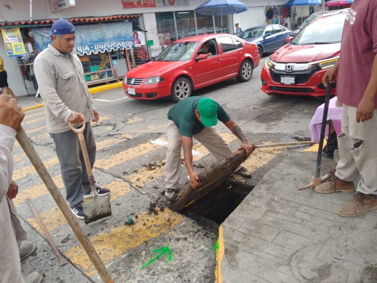 Imagen de WhatsApp 2025-10-07 a las 16.23.06_71d8a519