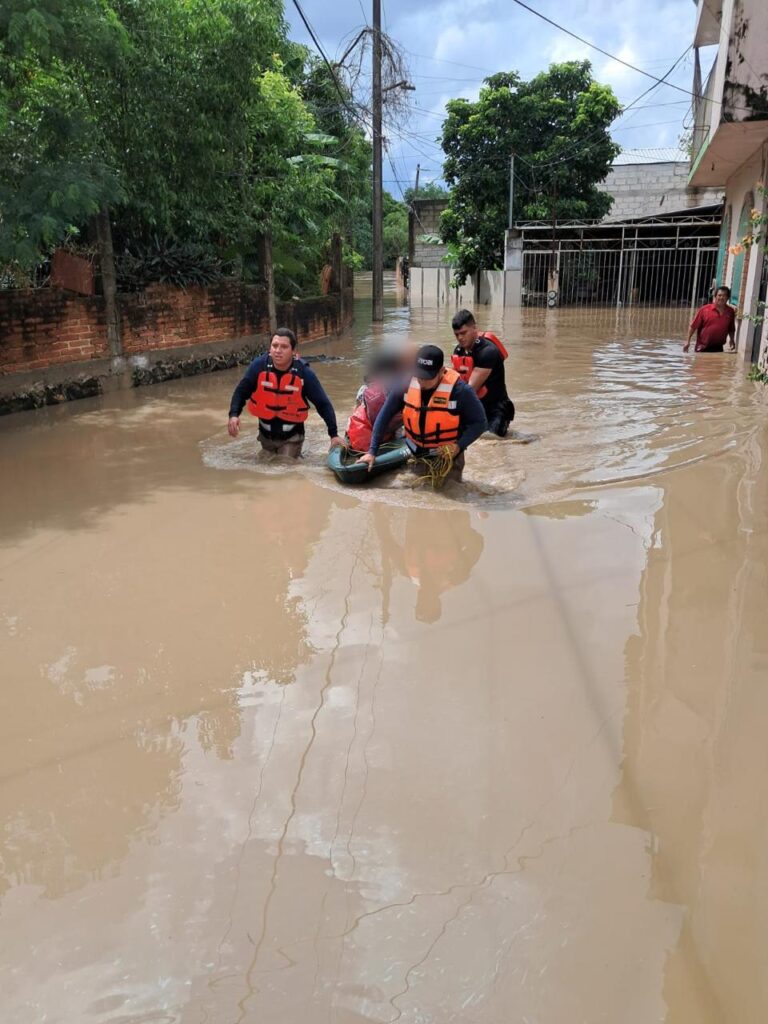 Imagen de WhatsApp 2025-10-09 a las 19.42.01_44aa29d4