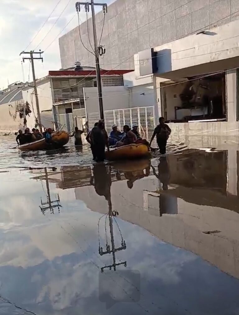 Imagen de WhatsApp 2025-10-10 a las 20.16.19_c88b78d1