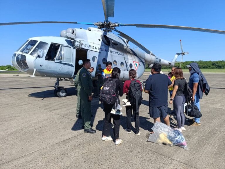 Imagen de WhatsApp 2025-10-12 a las 11.55.46_a8dc53c6