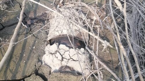 Imagen de WhatsApp 2025-10-27 a las 23.32.39_c1448be3