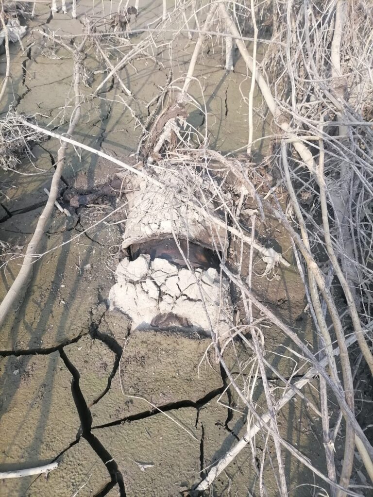 Imagen de WhatsApp 2025-10-27 a las 23.32.39_c1448be3