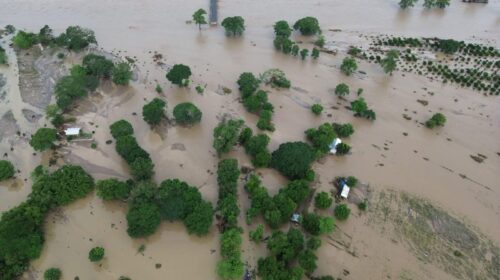 Imagen de WhatsApp 2025-10-30 a las 11.46.02_38f999ea