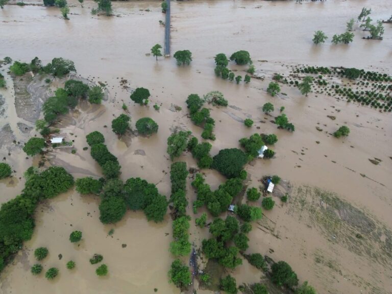 Imagen de WhatsApp 2025-10-30 a las 11.46.02_38f999ea