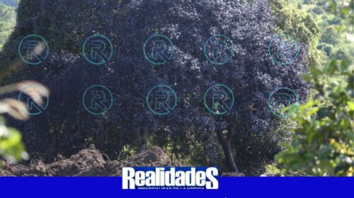 Voluntarios rescatan a 12 personas (11)