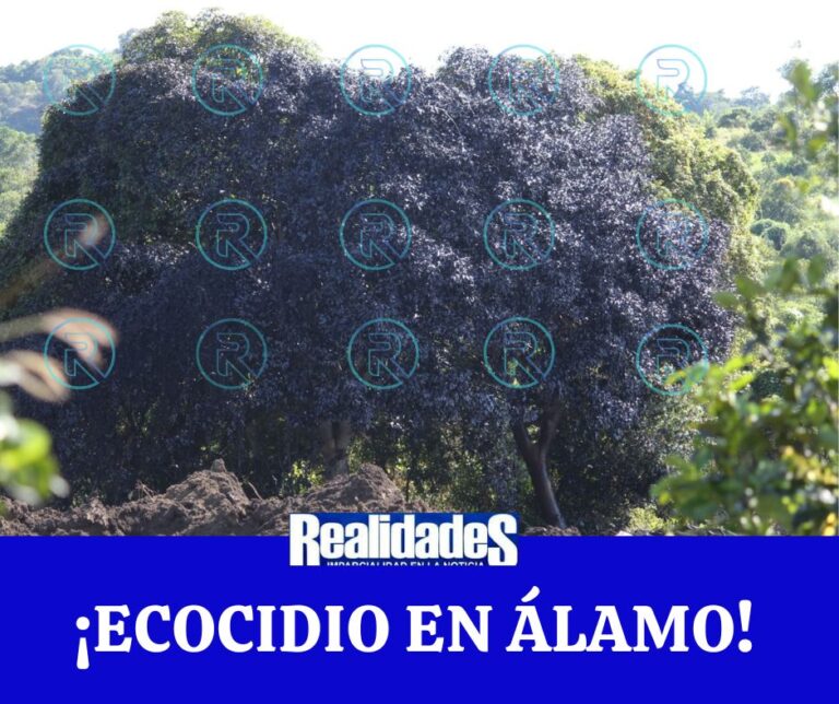 Voluntarios rescatan a 12 personas (11)