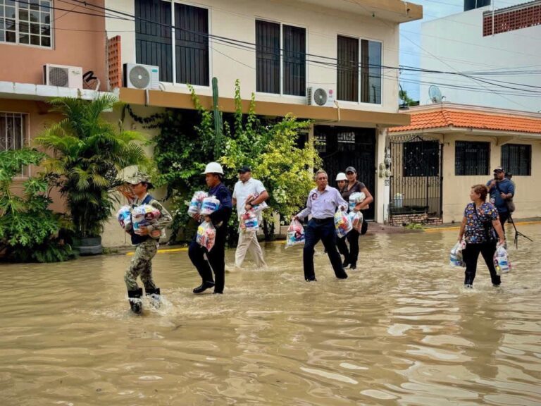 ee473447-ff2a-45e6-804f-cdd531995a48