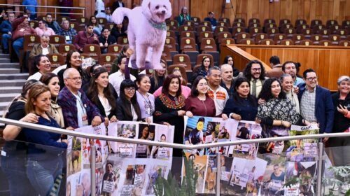 Imagen de WhatsApp 2025-11-13 a las 18.35.20_39a3d1bd