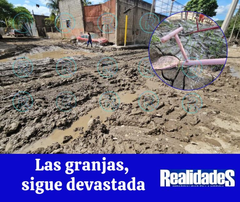 Voluntarios rescatan a 12 personas (21)