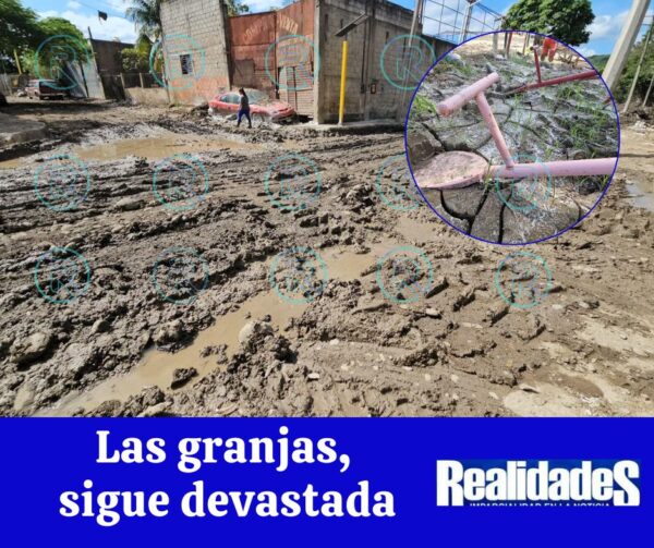 Voluntarios rescatan a 12 personas (21)