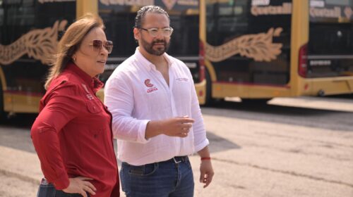 WhatsApp Image 2026-01-16 at 2.42.32 PM