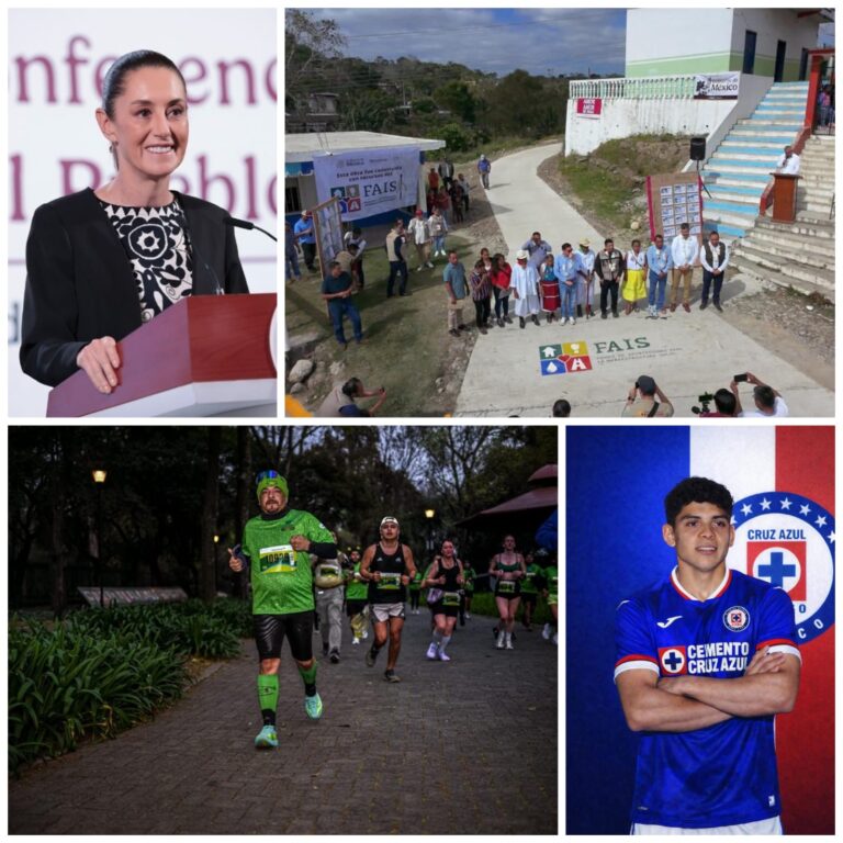 WhatsApp Image 2026-01-19 at 6.21.19 PM (1)