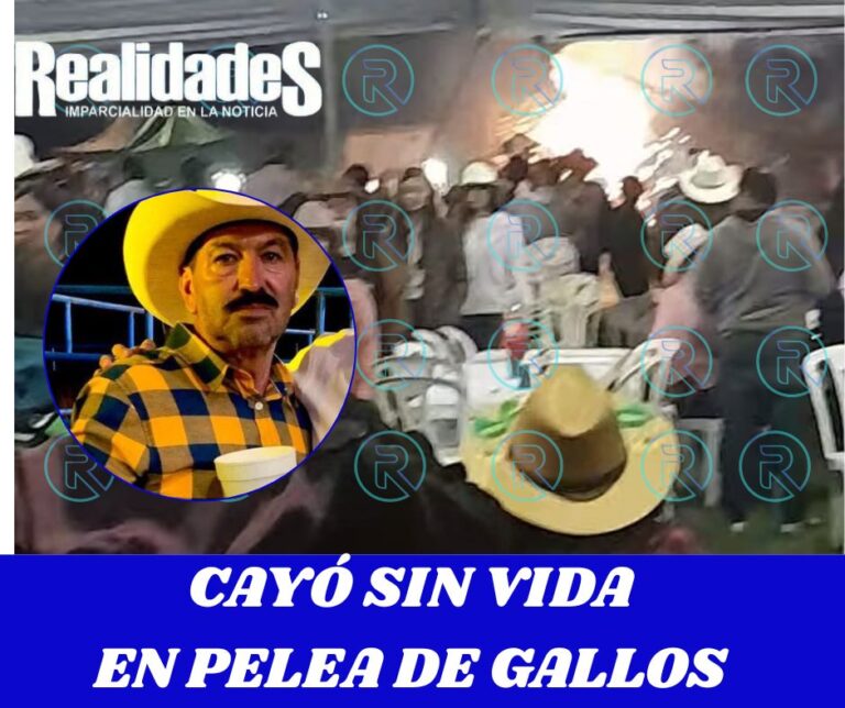 Voluntarios rescatan a 12 personas (2)