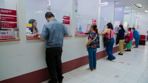 WhatsApp Image 2026-02-09 at 11.44.42 AM